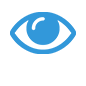 vision